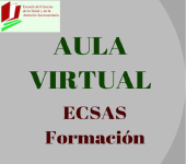 Logotipo de AULA VIRTUAL ECSAS