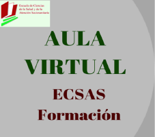 AULA VIRTUAL ECSAS