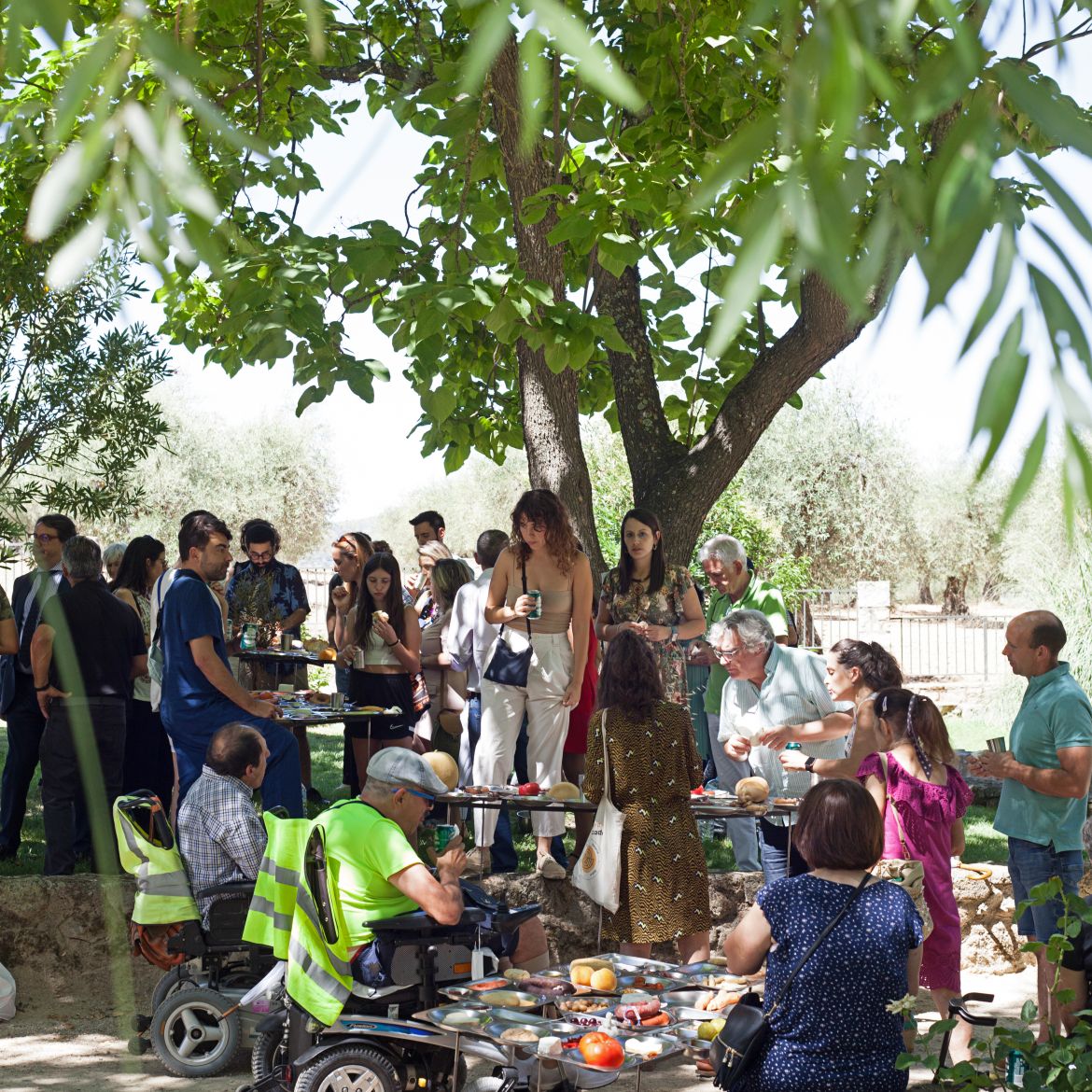 Personas usuarias de silla de ruedas y personas de pie comen y conversan bajo la sombra de unos arboles.