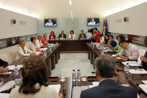 Sayagués éxpuso ante la Comisión de Salud y Política Social de la Asamblea las principales líneas de actuación de su departamento para esta legislatura