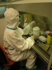 Análisis de una muestra en el Laboratorio de Vigilancia de la Gripe en el Hospital San Pedro de Alcántara