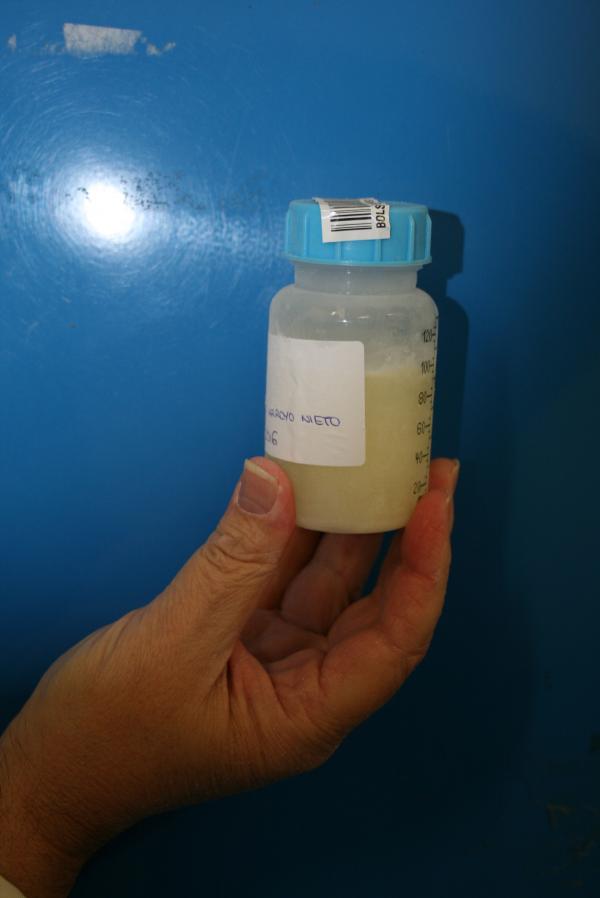 Un vehículo refrigerado recoge la leche congelada en el domicilio de las donantes