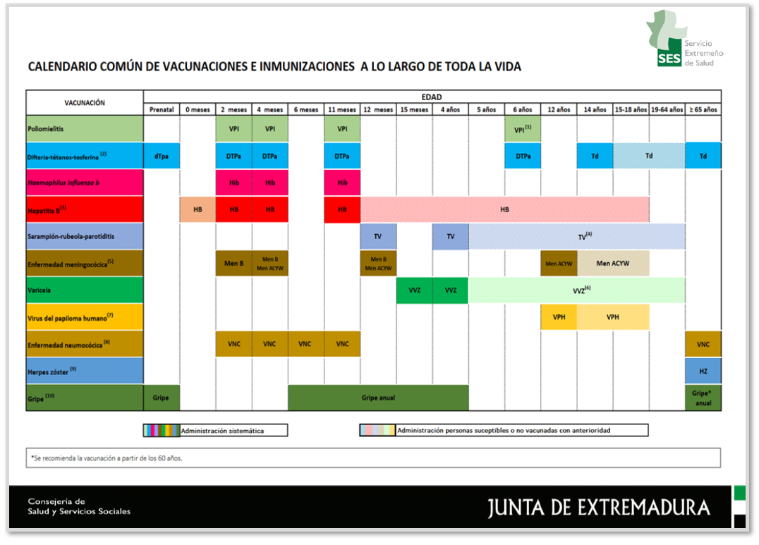 Calendario com&uacute;n de vacunaciones e inmunizaciones a lo largo de toda la vida