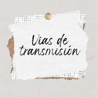 V&iacute;as de transmisi&oacute;n