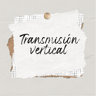 Transmisi&oacute;n vertical