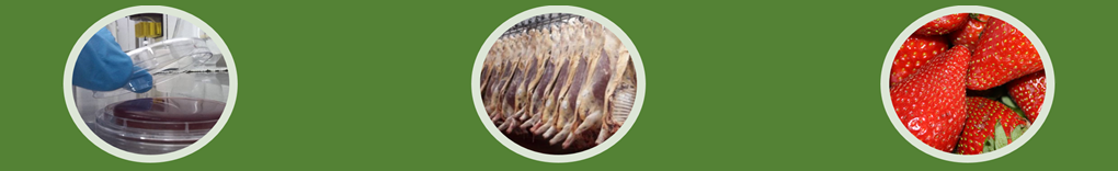Seguridad Alimentaria