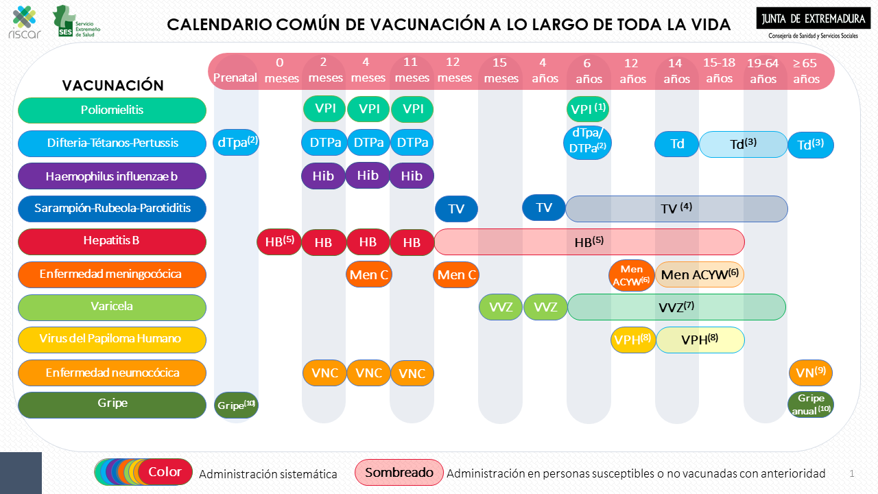 Calendario Vacunal Oficial